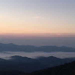 Meet your Posher, Lachlan